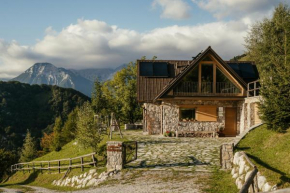 Отель Eco Chalet AstraMONTANA  Толмин